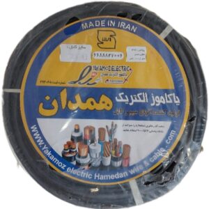 کابل افشان ۲ در ۴ لوشان، تمام مس، حلقه ۱۰۰ متری، مناسب مصارف ساختمانی و صنعتی